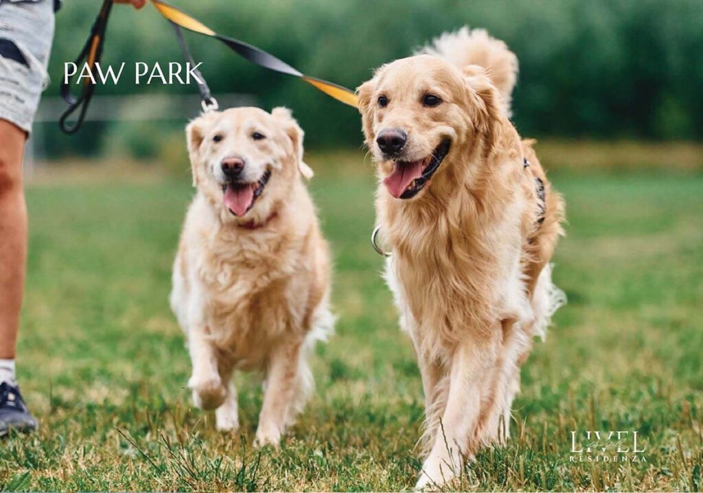 Luxury Apartment Dubai - LIVEL Residenza - Paw Park