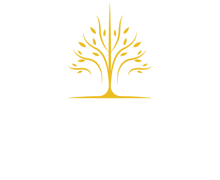 VANTAGE_DEVELOPMENTS_logo_w