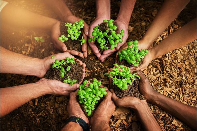 ENVIRONMENTAL POLICY